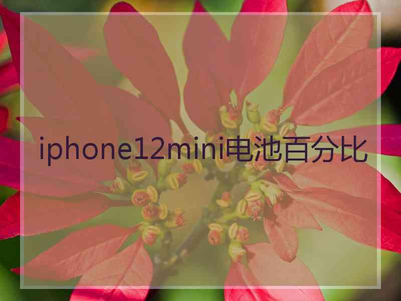 iphone12mini电池百分比