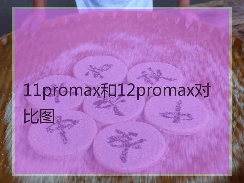 11promax和12promax对比图