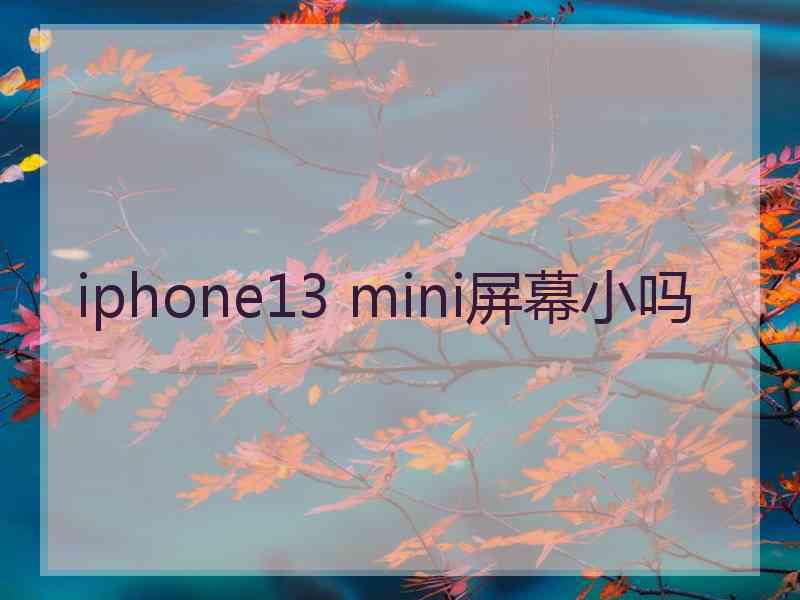 iphone13 mini屏幕小吗