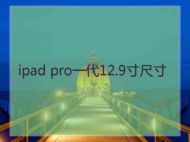 ipad pro一代12.9寸尺寸