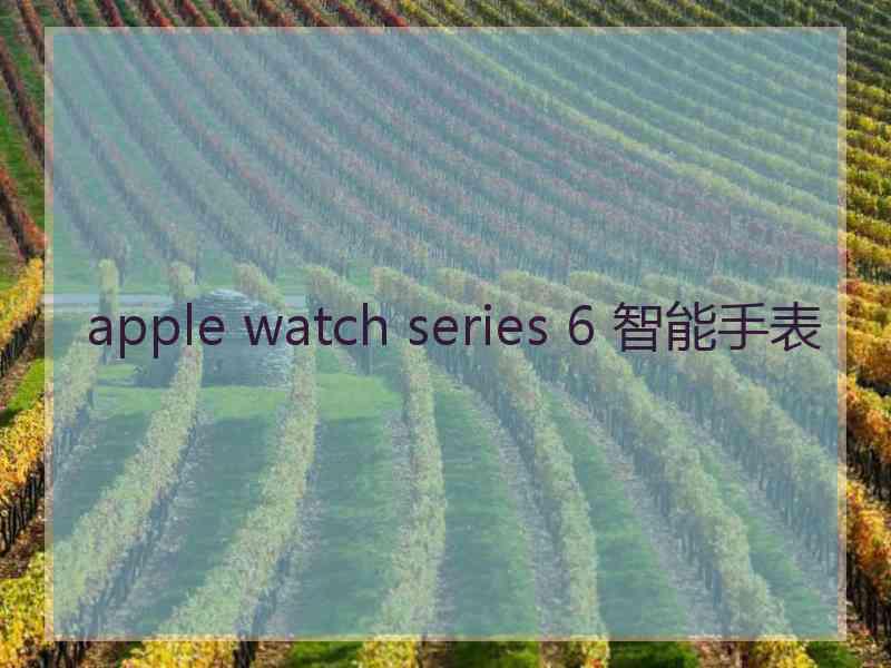 apple watch series 6 智能手表