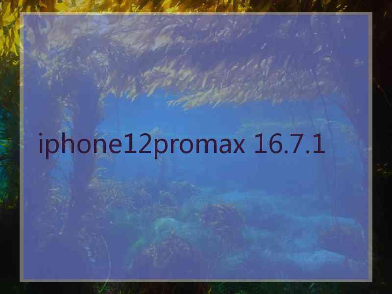 iphone12promax 16.7.1