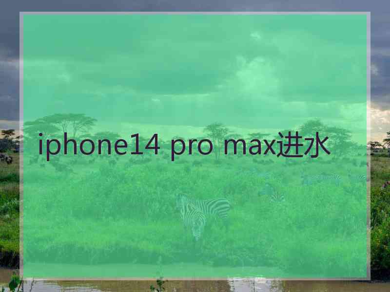 iphone14 pro max进水