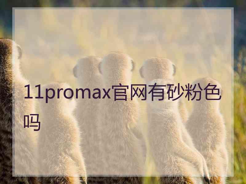 11promax官网有砂粉色吗