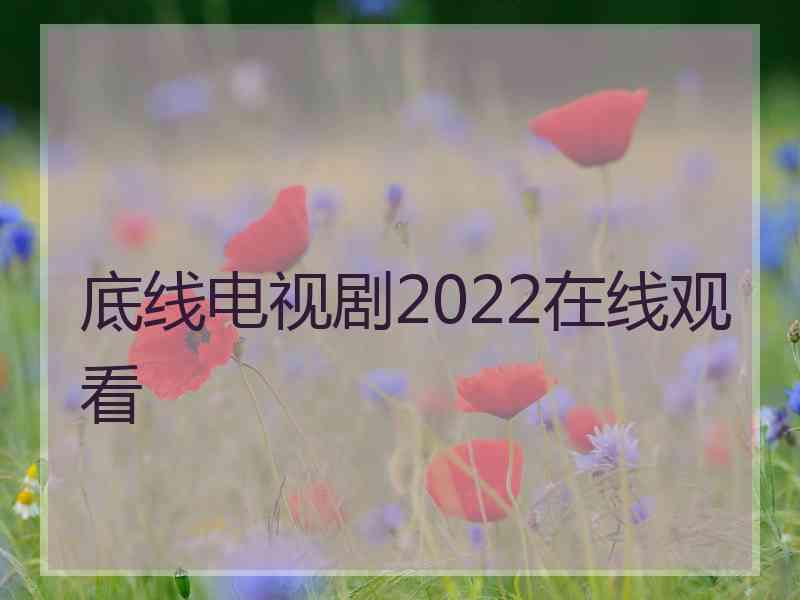 底线电视剧2022在线观看