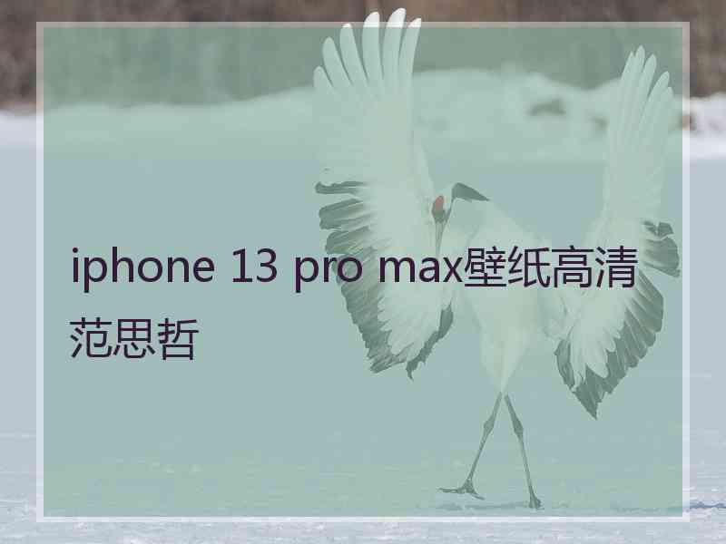 iphone 13 pro max壁纸高清范思哲