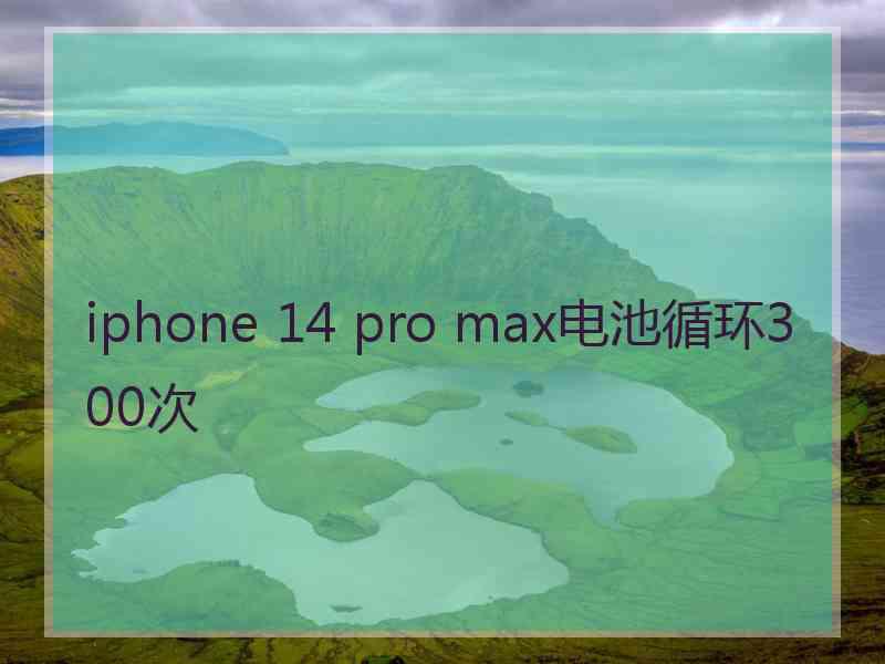 iphone 14 pro max电池循环300次