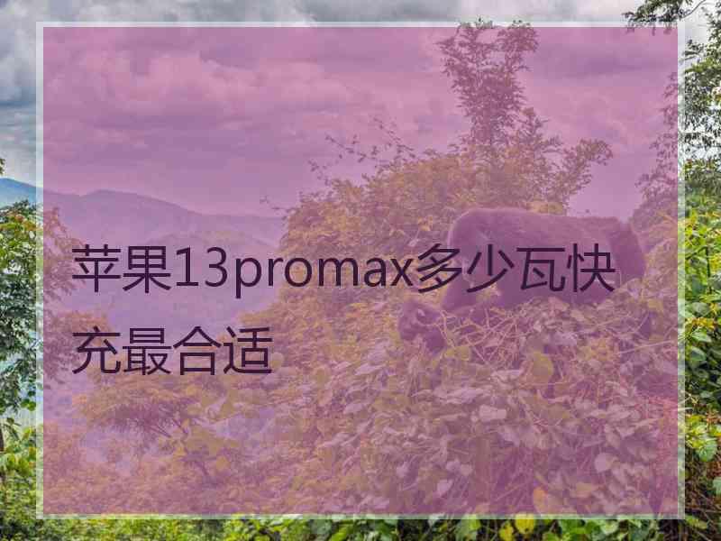 苹果13promax多少瓦快充最合适