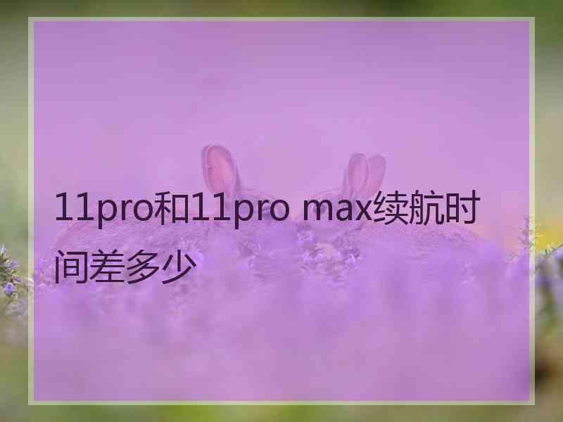 11pro和11pro max续航时间差多少