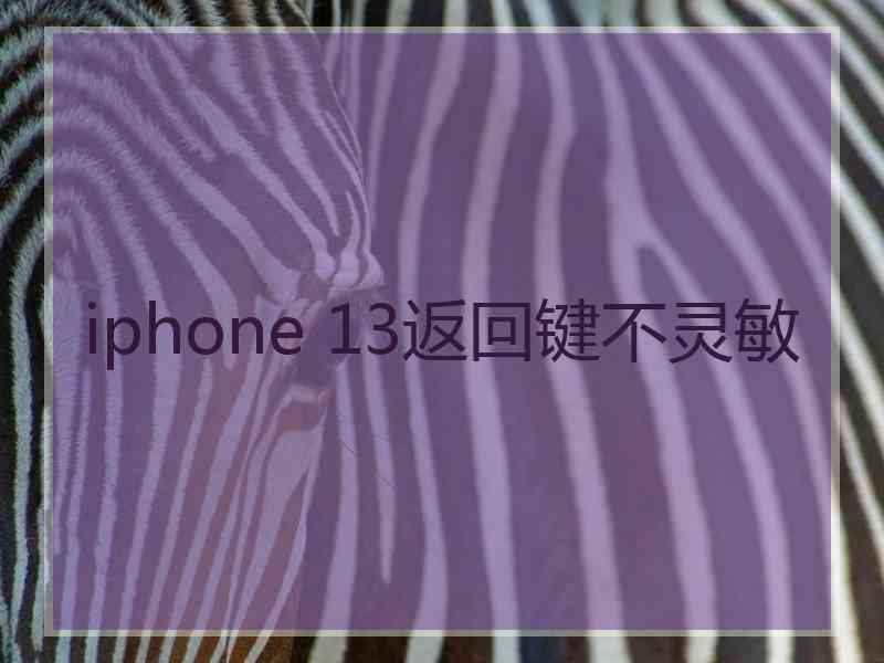 iphone 13返回键不灵敏