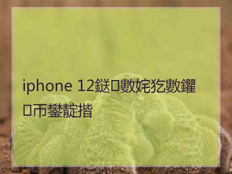 iphone 12鎹㈢數姹犵數鑺帀鐢靛揩