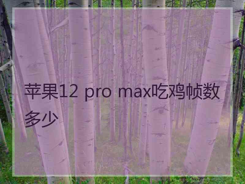 苹果12 pro max吃鸡帧数多少