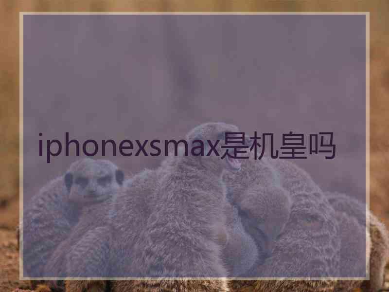 iphonexsmax是机皇吗