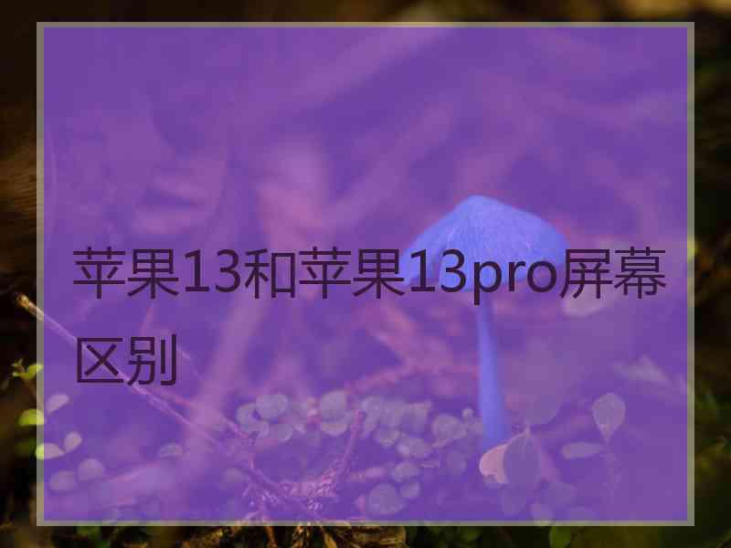 苹果13和苹果13pro屏幕区别