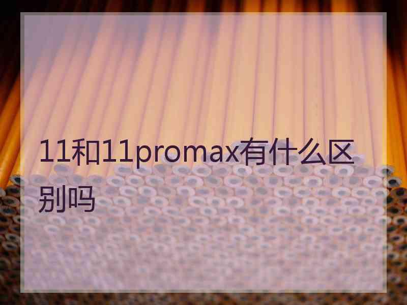 11和11promax有什么区别吗