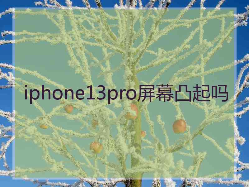 iphone13pro屏幕凸起吗