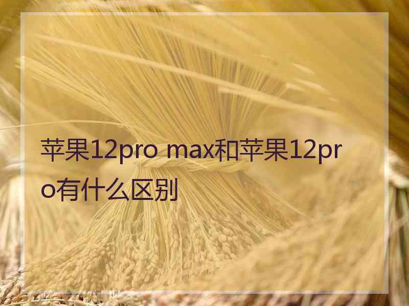 苹果12pro max和苹果12pro有什么区别