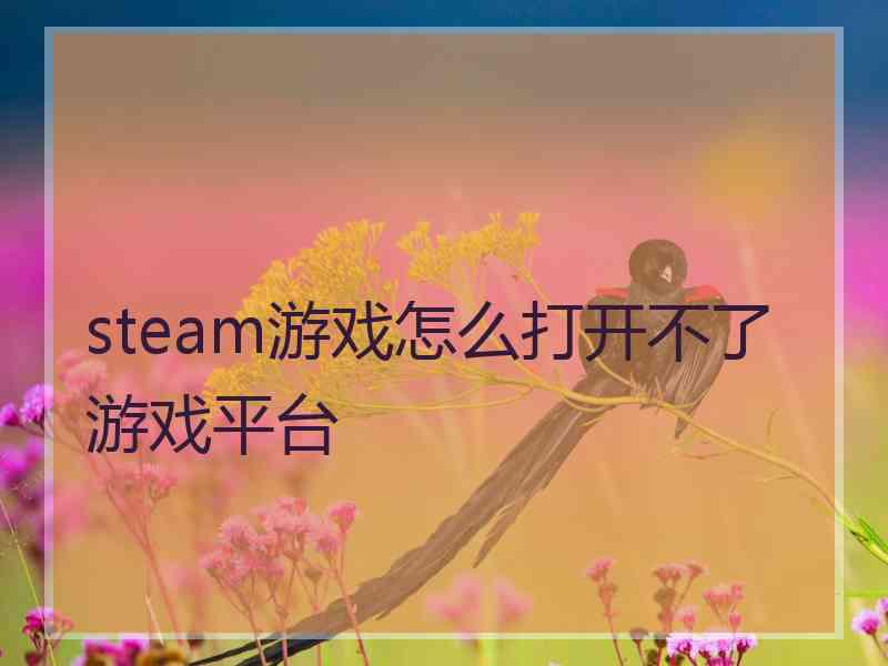 steam游戏怎么打开不了游戏平台