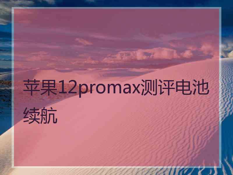 苹果12promax测评电池续航