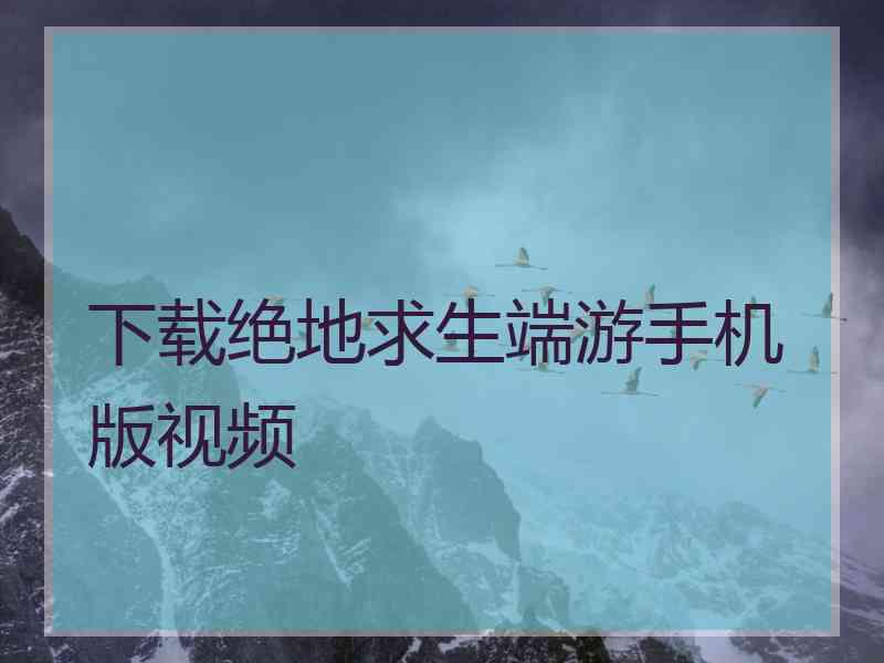 下载绝地求生端游手机版视频