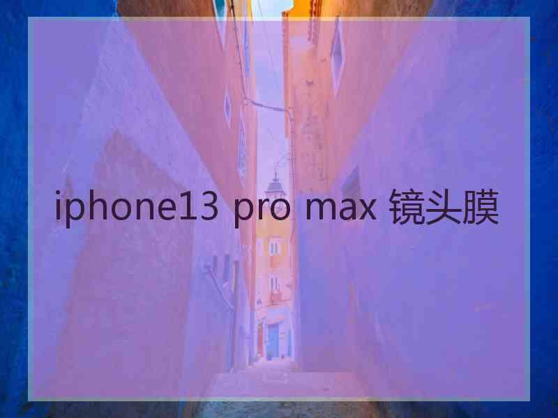 iphone13 pro max 镜头膜