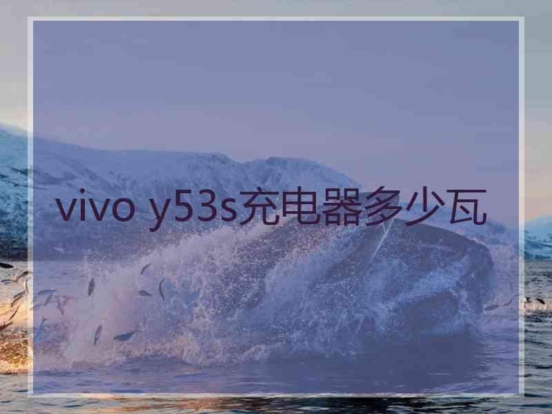 vivo y53s充电器多少瓦