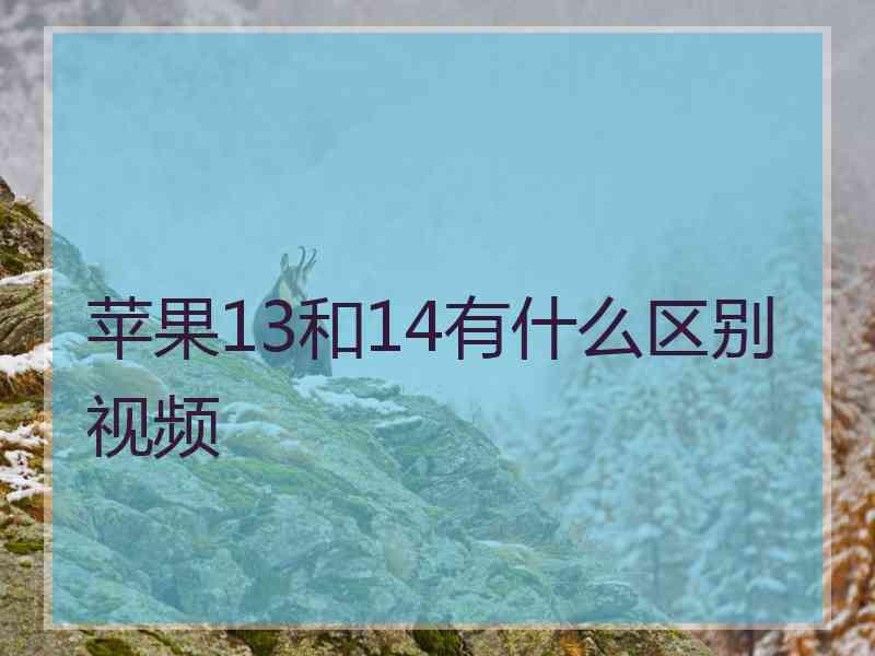 苹果13和14有什么区别视频