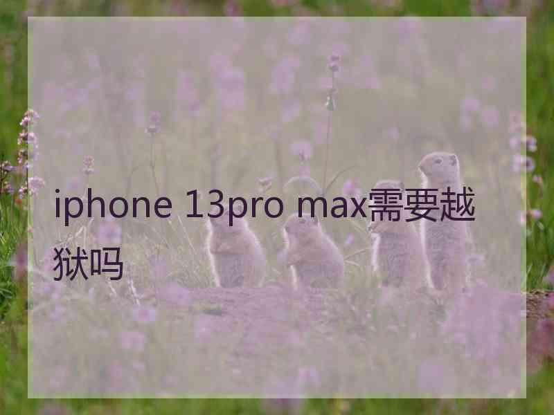 iphone 13pro max需要越狱吗