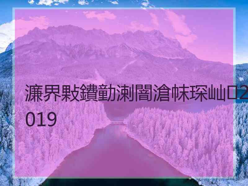 濂界敤鐨勭溂闇滄帓琛屾2019