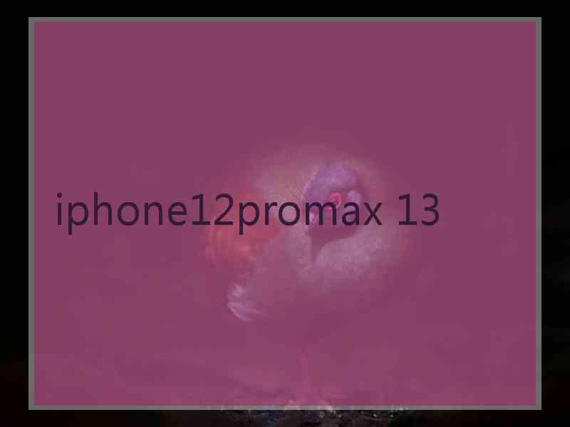 iphone12promax 13