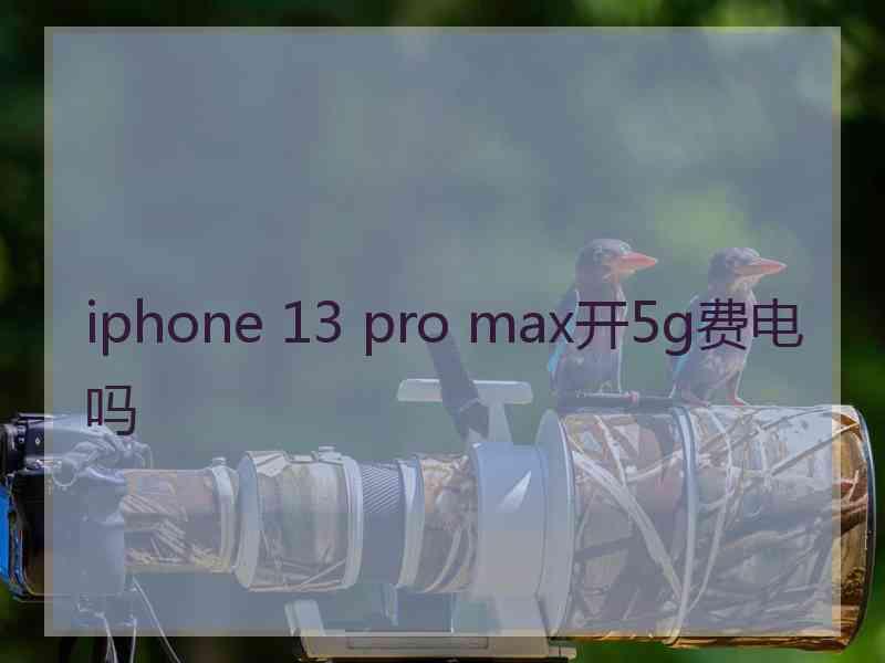 iphone 13 pro max开5g费电吗