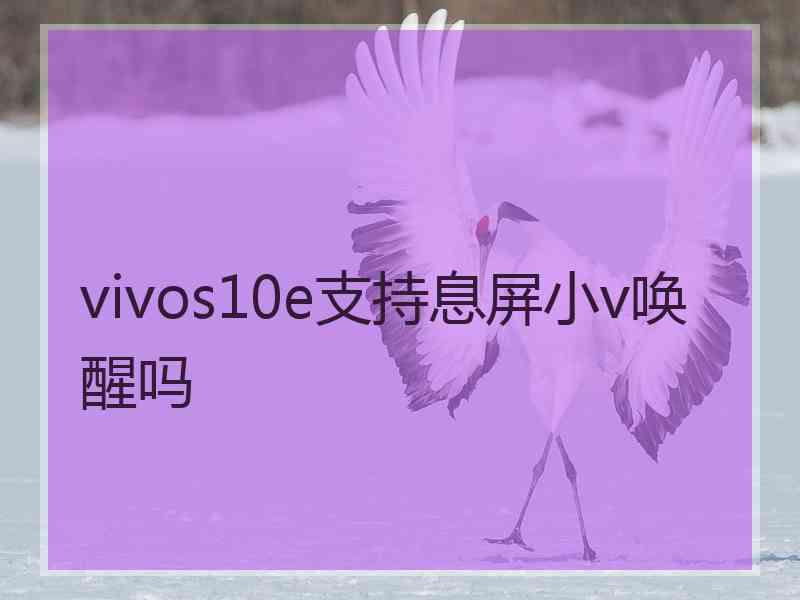 vivos10e支持息屏小v唤醒吗