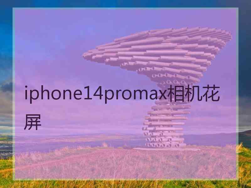 iphone14promax相机花屏