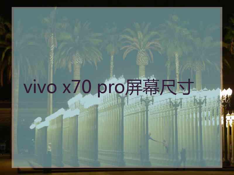 vivo x70 pro屏幕尺寸