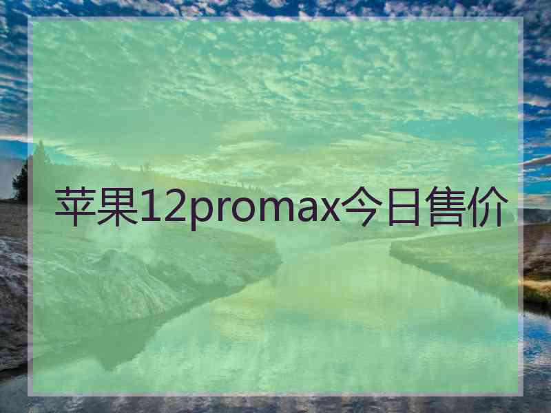 苹果12promax今日售价