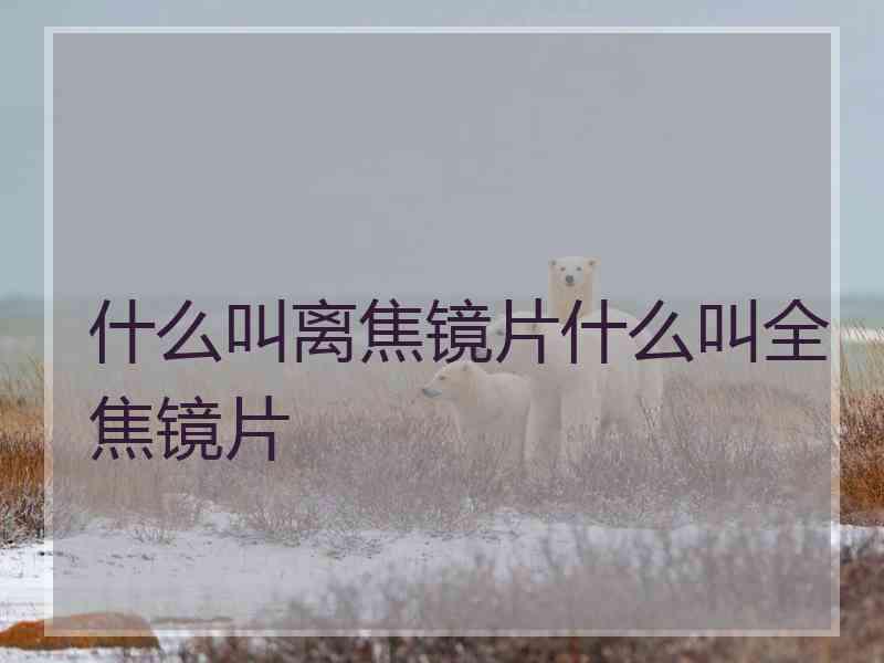 什么叫离焦镜片什么叫全焦镜片