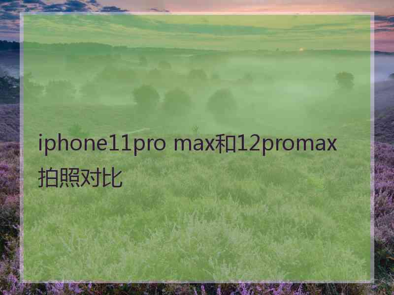 iphone11pro max和12promax拍照对比