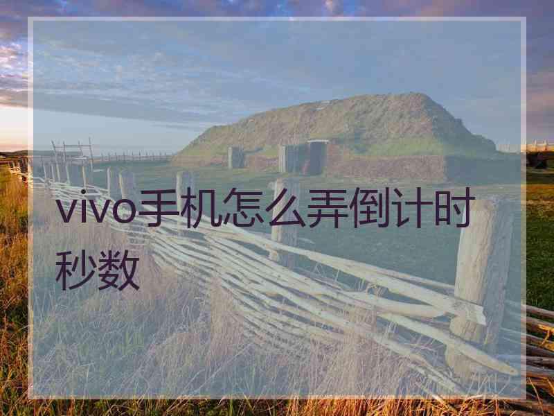 vivo手机怎么弄倒计时秒数