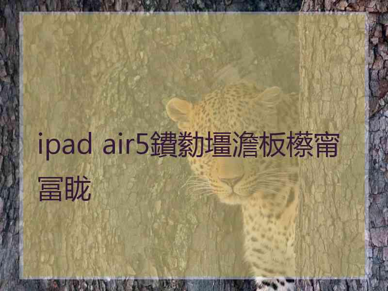 ipad air5鐨勬壃澹板櫒甯冨眬