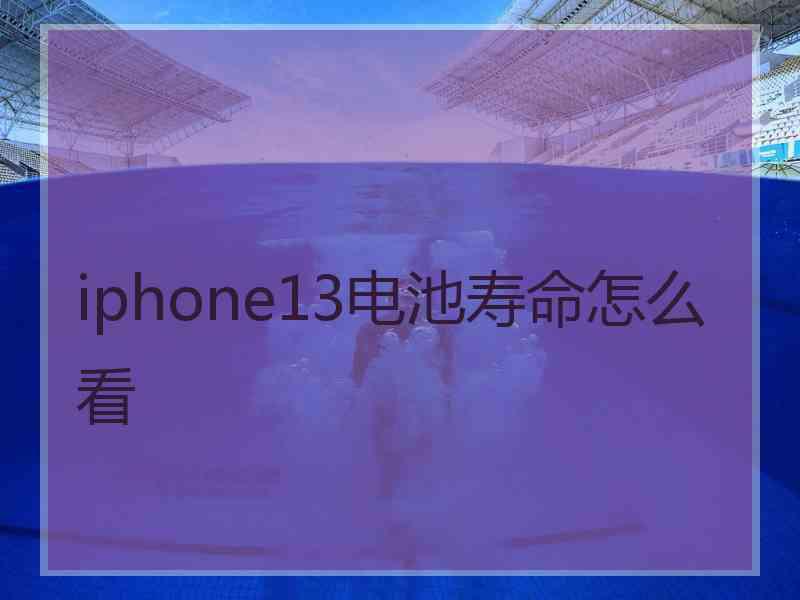 iphone13电池寿命怎么看