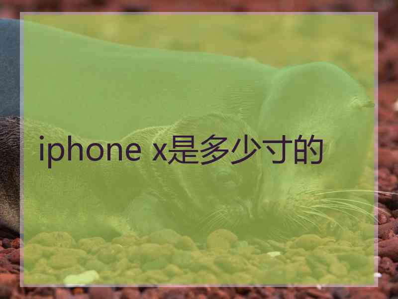 iphone x是多少寸的