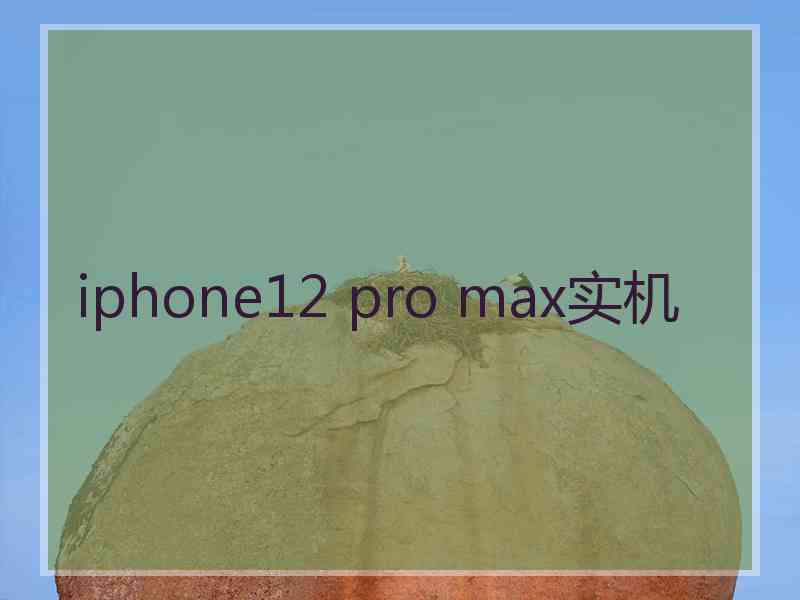 iphone12 pro max实机