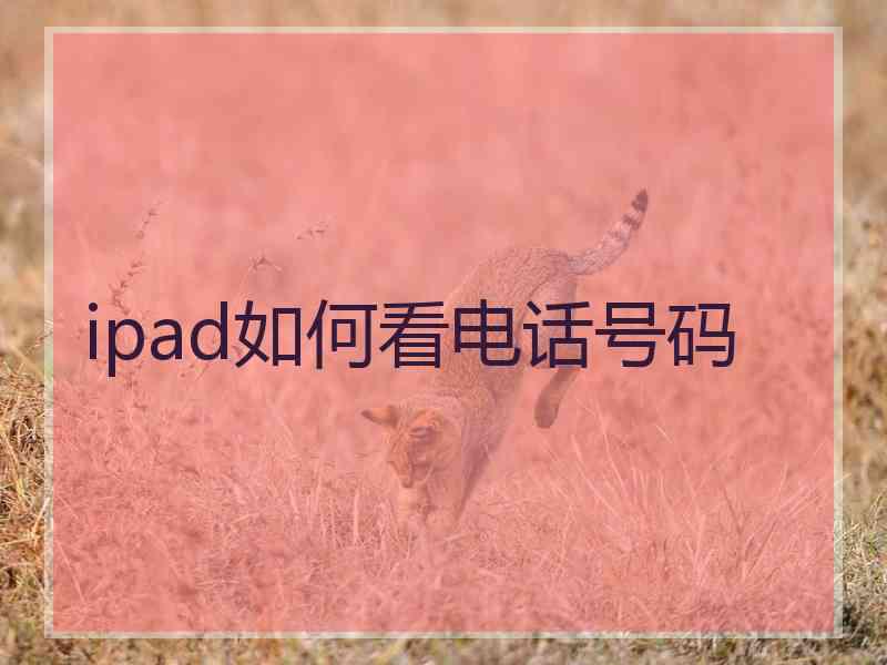 ipad如何看电话号码