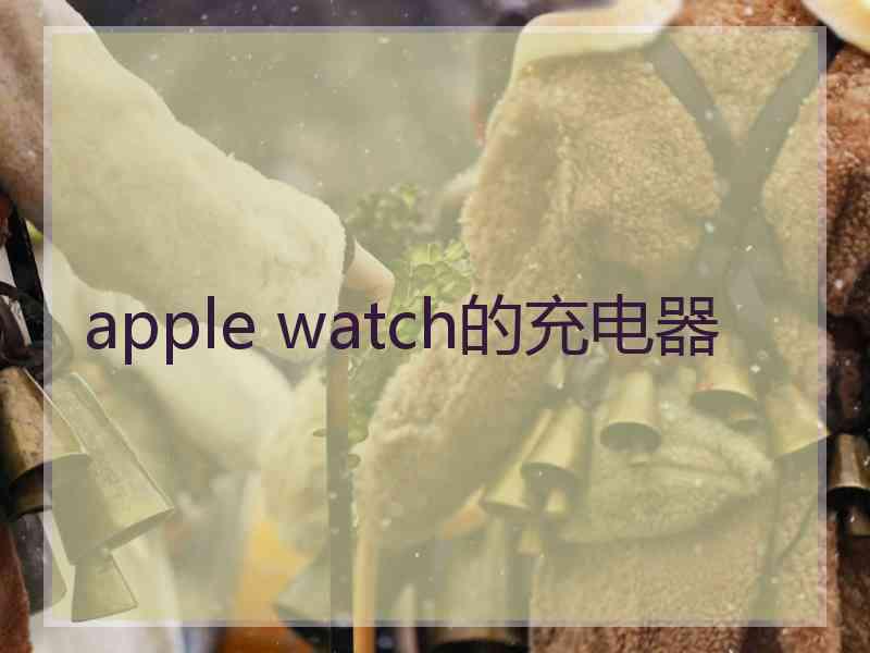 apple watch的充电器