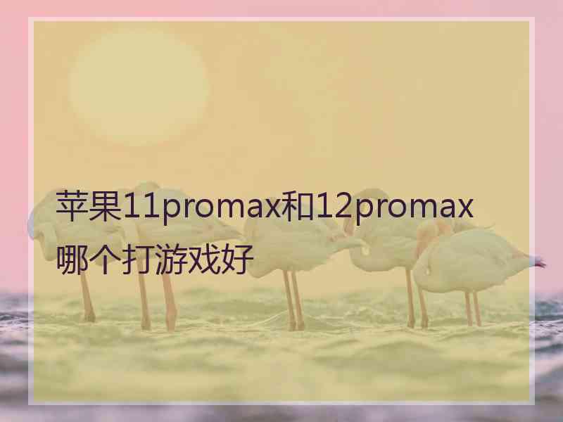 苹果11promax和12promax哪个打游戏好