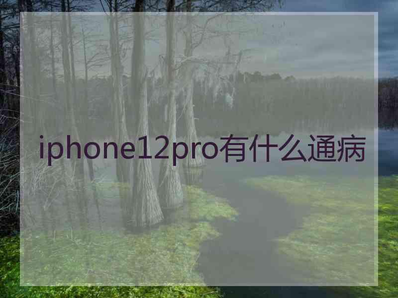 iphone12pro有什么通病