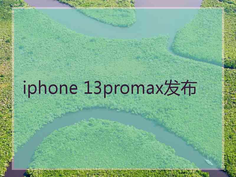 iphone 13promax发布