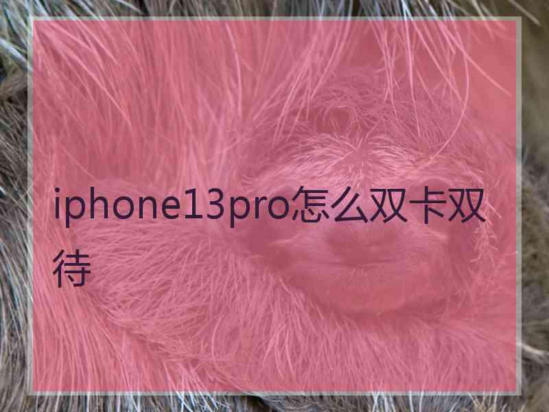 iphone13pro怎么双卡双待