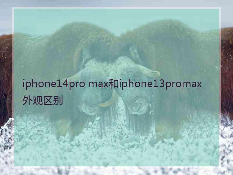 iphone14pro max和iphone13promax外观区别