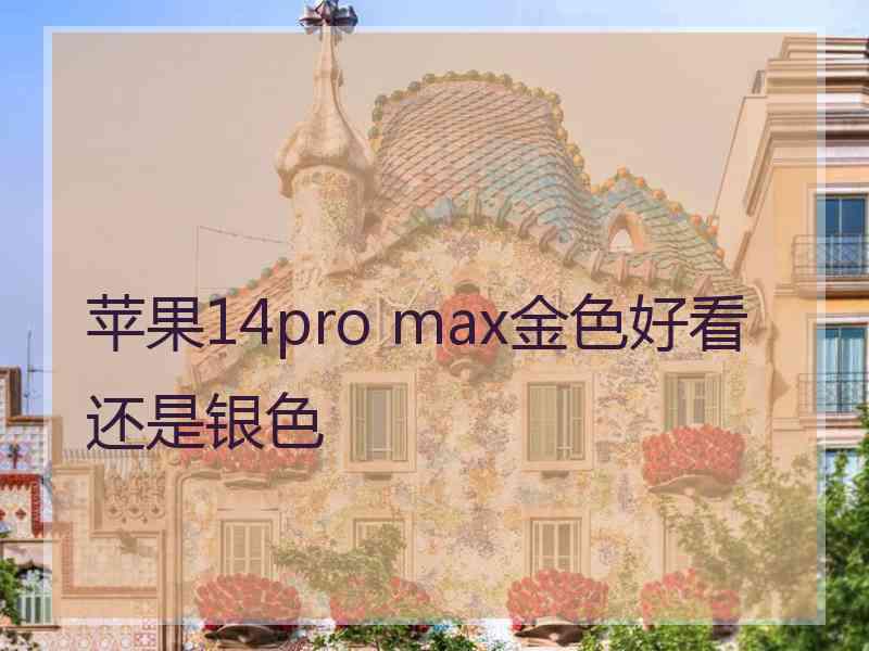 苹果14pro max金色好看还是银色